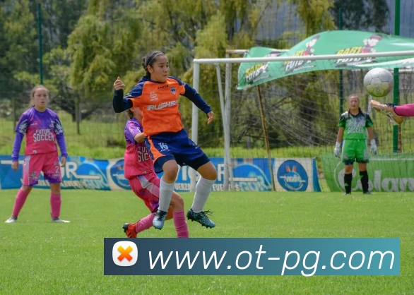 多媒体互动体验